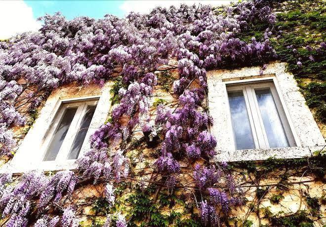 Regal Relais Parco Dei Manieri Resort Image