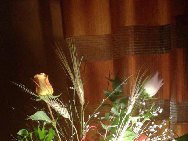 Una Piacevole Sorpresa Image