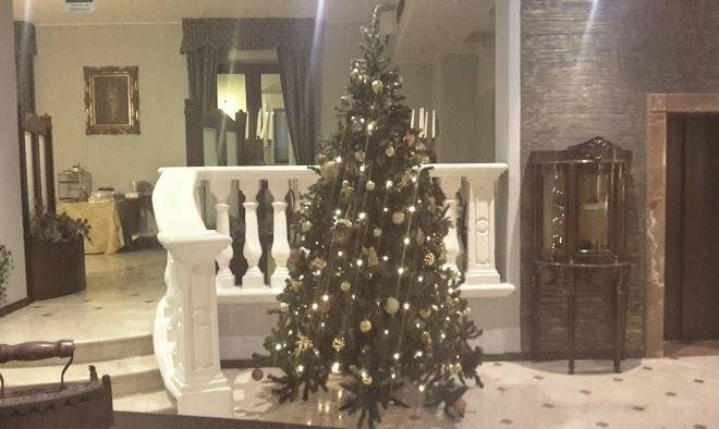 Hotel queen victoria
