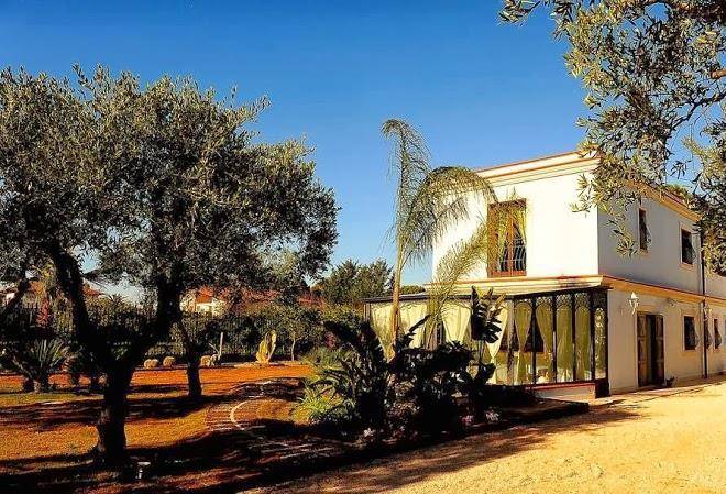Il giardino del te
