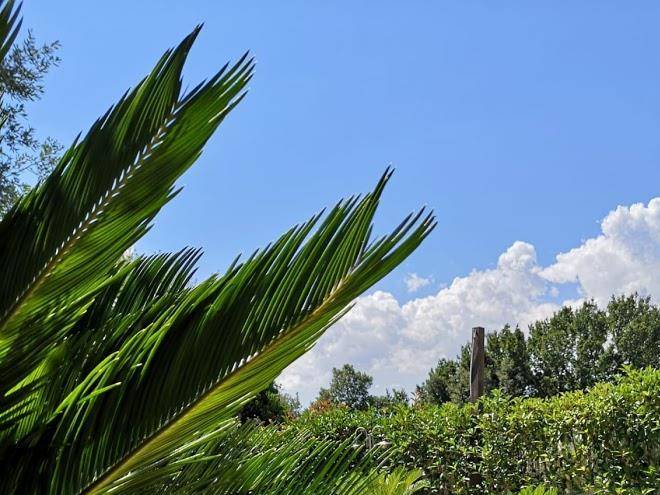 Apulia dream
