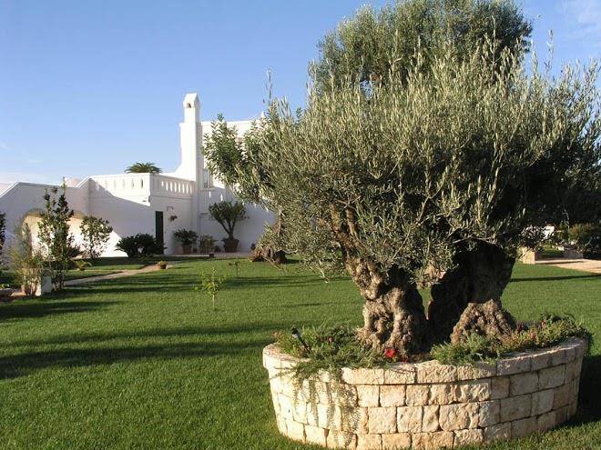 B&b masseria lamascopone