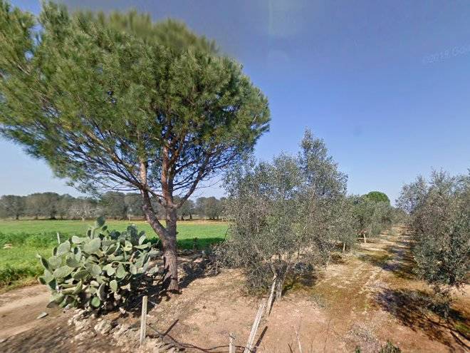 Casetta di lelia
