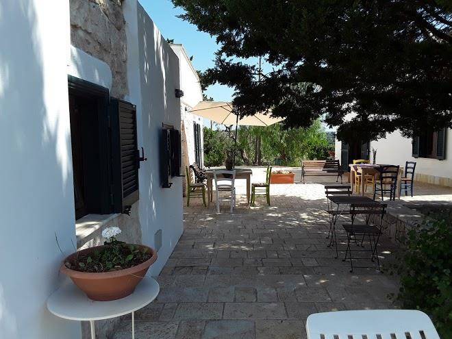 Il giardino di viola