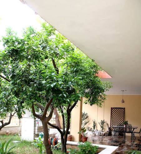 L'aranceto