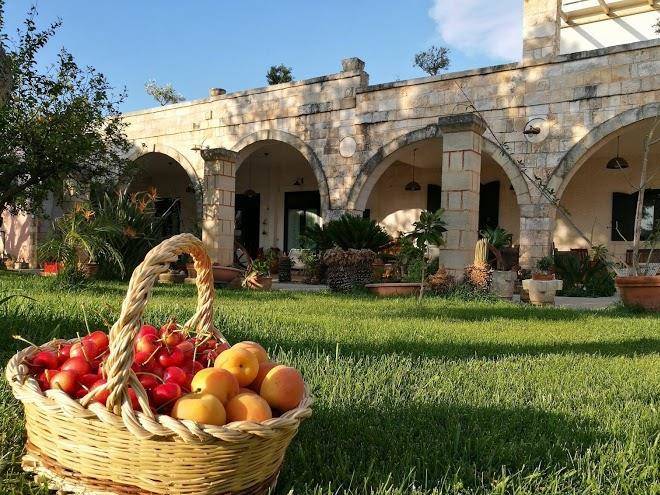 Agriturismo masseria asciano