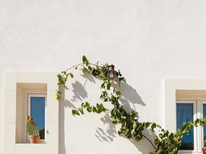 Masseria monache