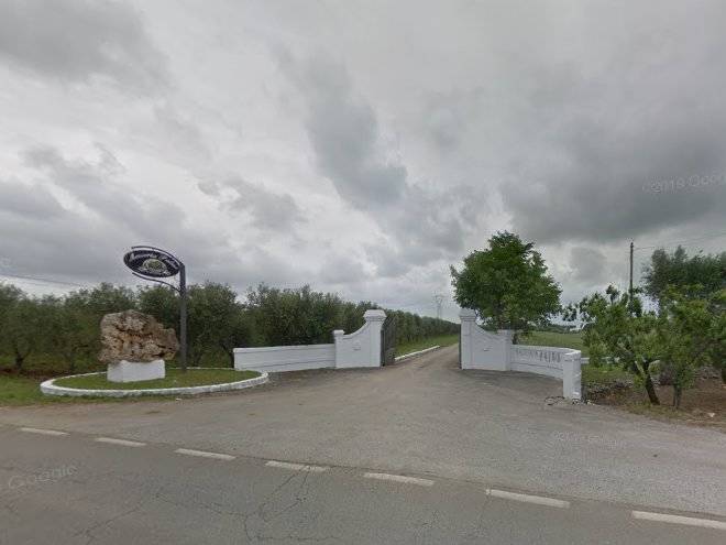 Masseria palmo