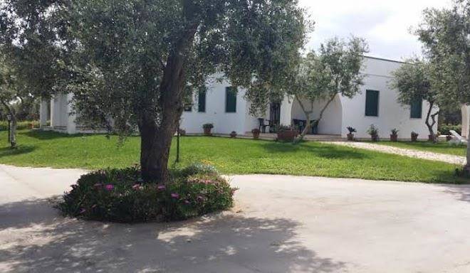 Oasi degli ulivi