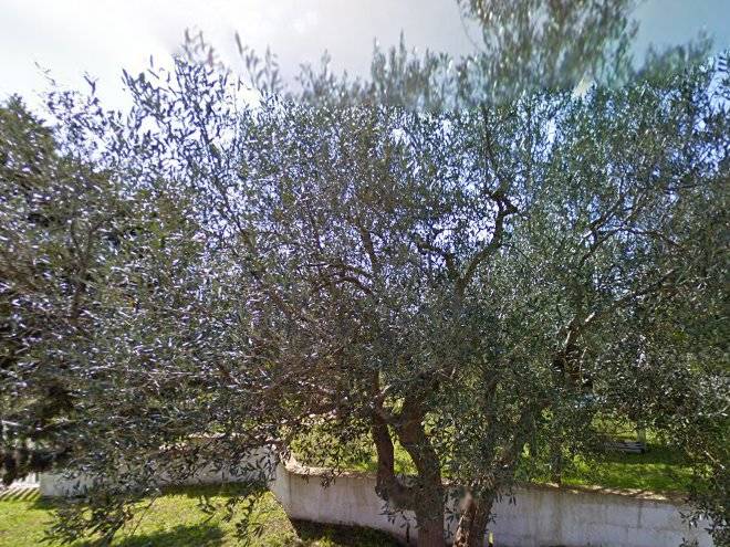 Rifugio dei cavalieri