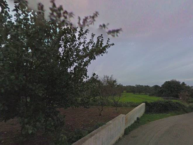 Tenuta Trullo Alto Image