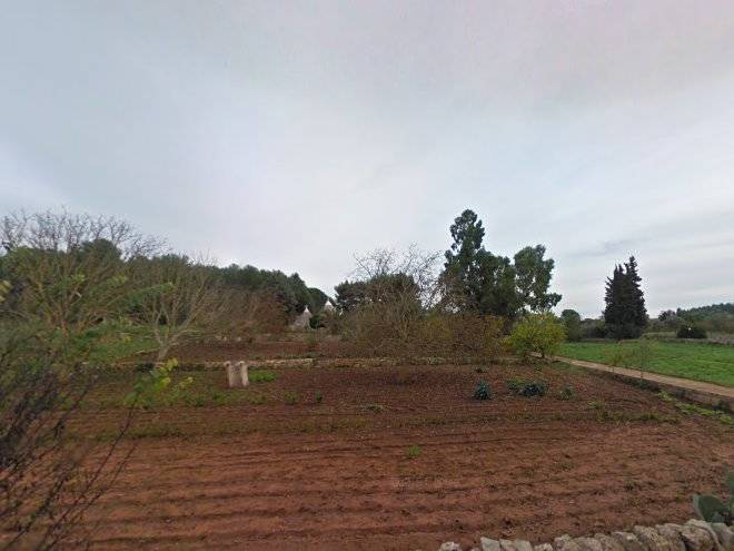 Trullo lilia