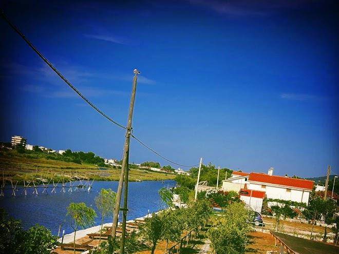 B&b Torre Del Lago Image