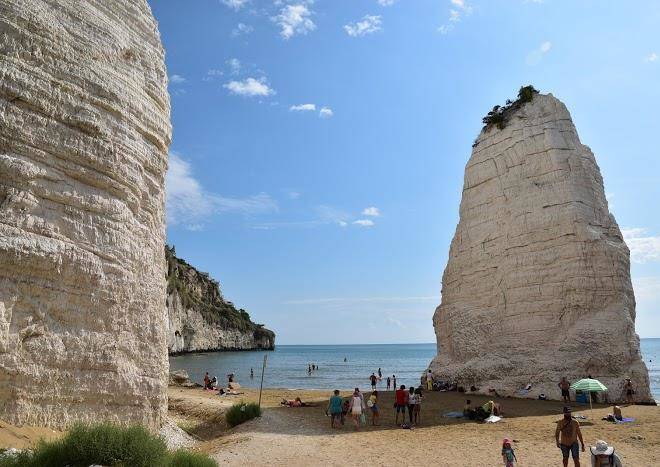 Le bouganville