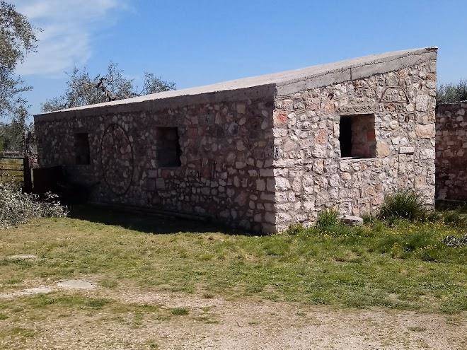 Oasi 2 Maggio 99 Image