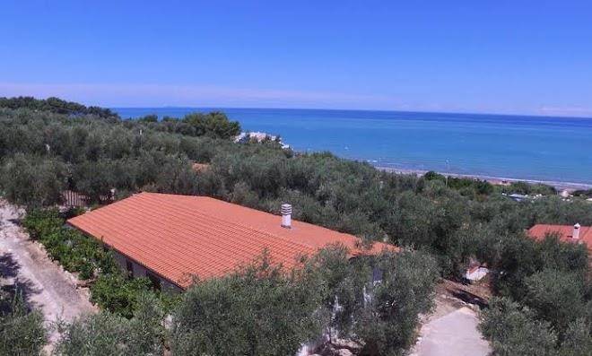 Zagare residence