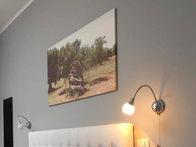 Agave Bed&breakfast Image