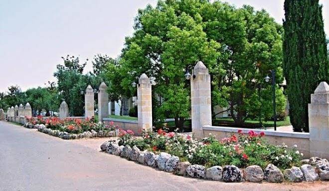 Antica rudiae