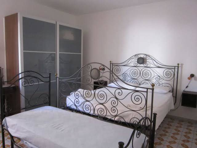 Auragallipolina Image