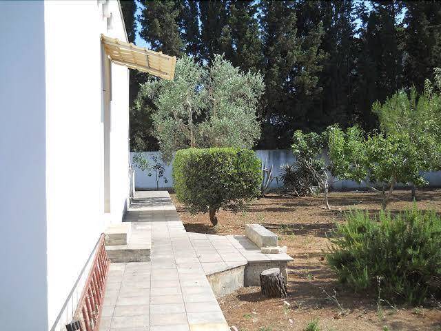 B&b la strea