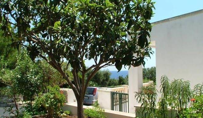 B&b azzurro mare