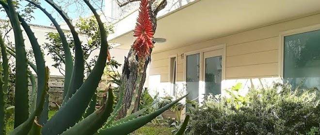 B&b camere borgo otranto
