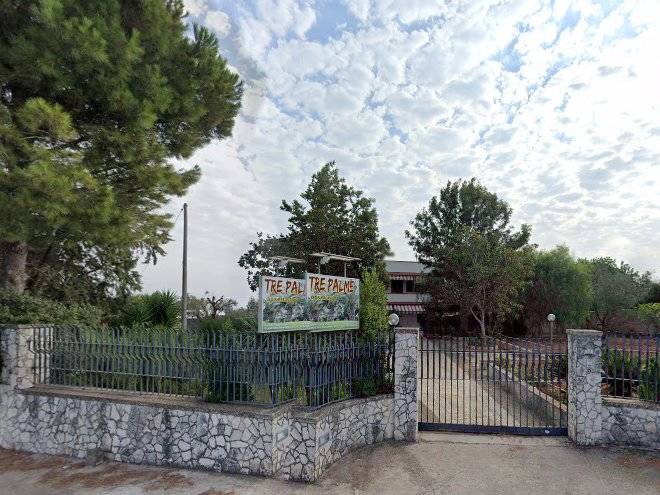 B&b tre palme