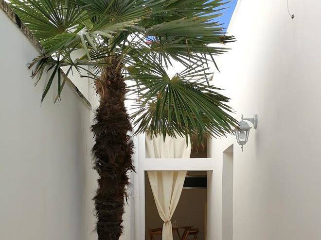 Bed and breakfast palmari