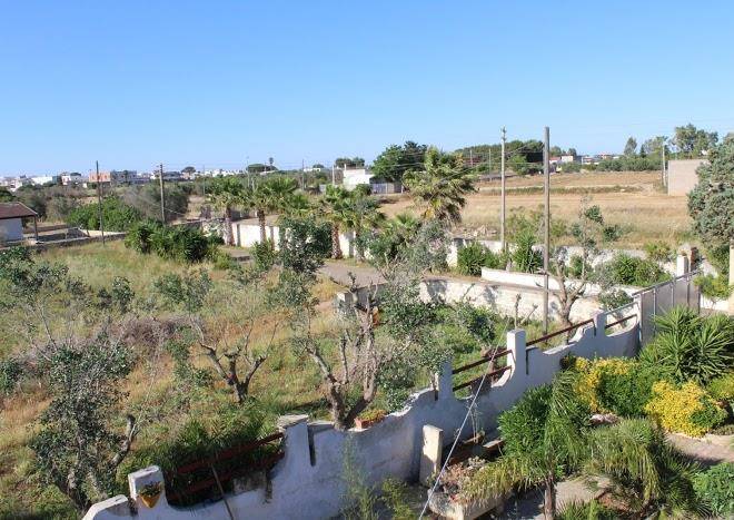 Il giardino di alba