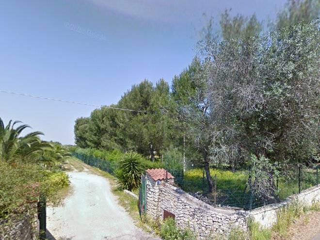 Il giardino di alice