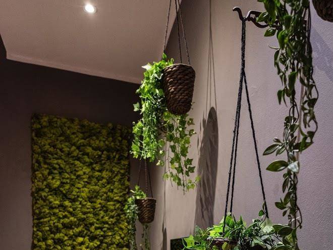 Il Giardino Di Sybar Image