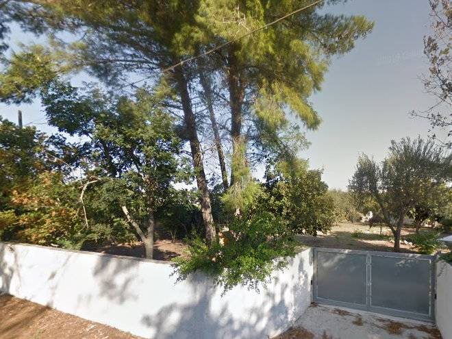 La Mediterranea Image