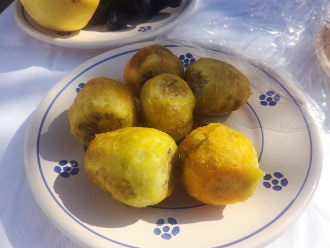 Lucapannune