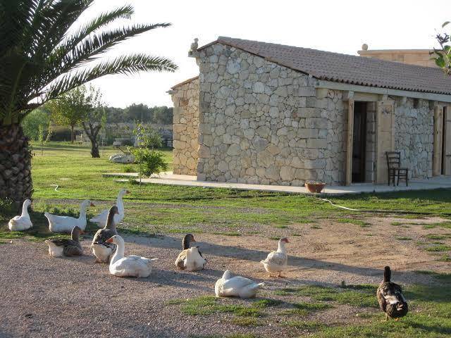 Masseria copertini