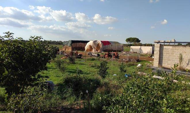Masseria la fica