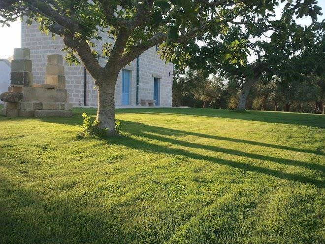 Masseria vignenove