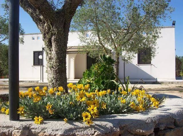 Otranto le sancinare