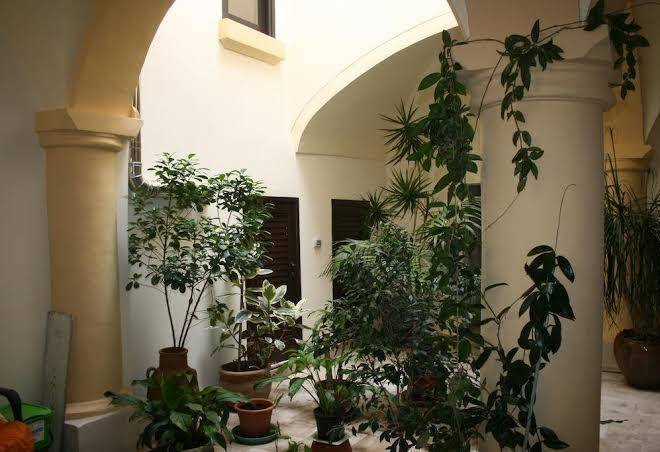 Palazzo Franza Musaro Image