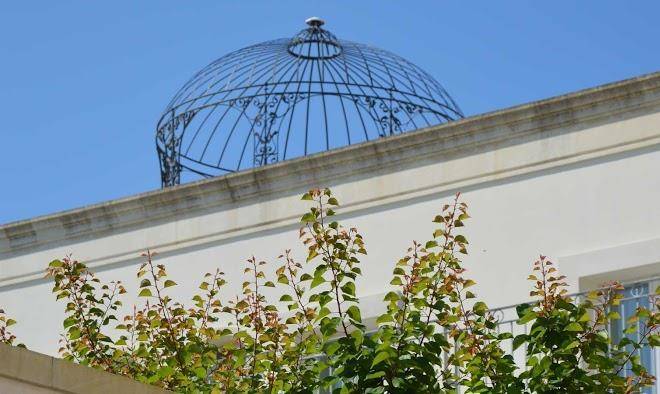 Percebes exclusive b&b