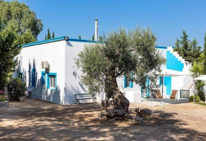 Tenuta Don Salvatore Image