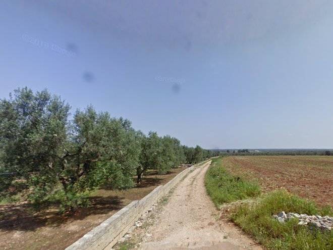 Tenuta letizia