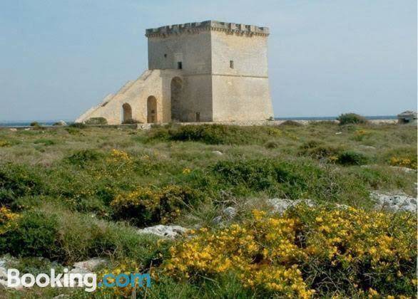 Vev salento