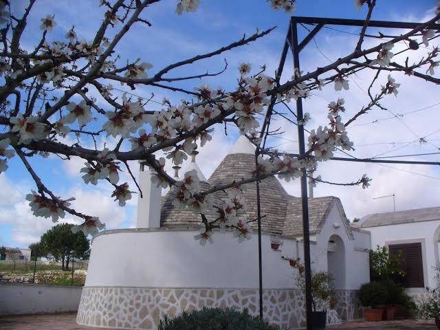Bed&breakfast valle incantata all'alba