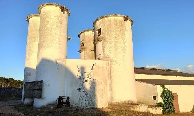 Masseria colombo sas