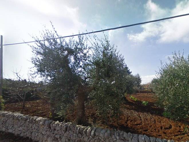 Trullo nonno angelo