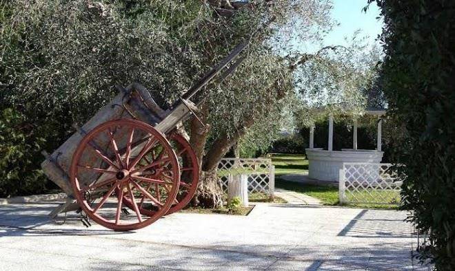Hotel giardino giamperduto