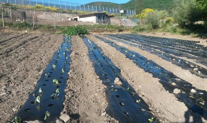Agriturismo ai carconi prodotti tipici a lagonegro