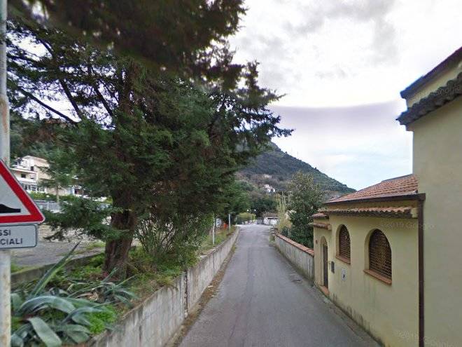 Le tre rose