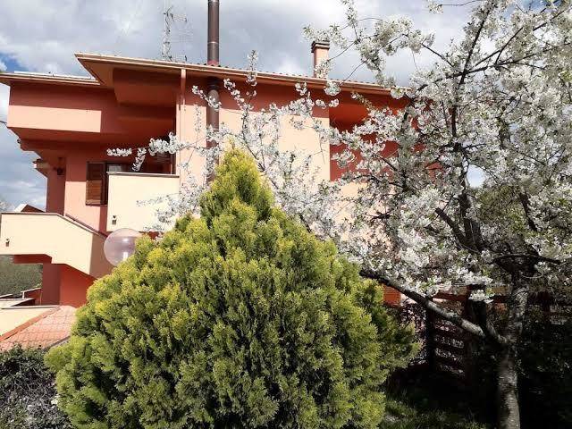 Notti Rosa B&b Image