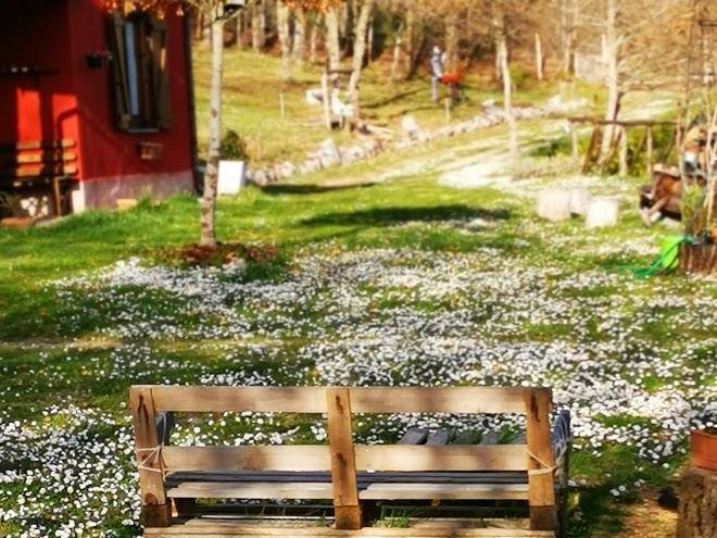 Un tetto di stelle